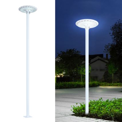 Brilagi - Metalinė strypas lauko apšvietimo stulpui URBAN 3 m stiebas skersmuo 58 mm baltas