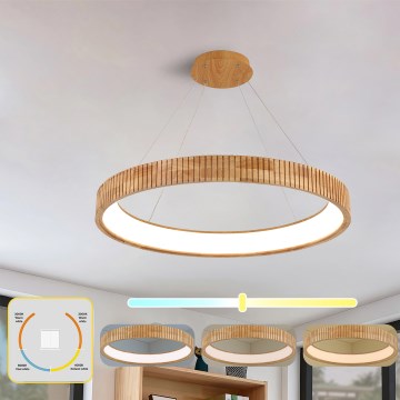Brilagi - Pakabinamas LED šviestuvas ant laido FALCON WOOD MODERN LED/60W/230V 3000/4000/6000K, skersmuo 80 cm, mediena