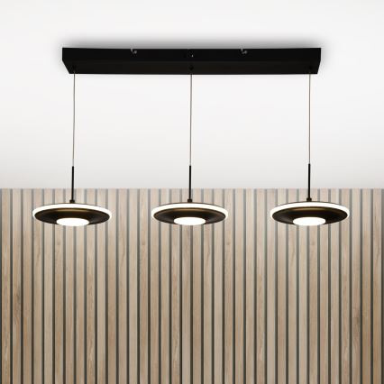 Brilagi - Pakabinamas LED šviestuvas ant laido VERANO 3xLED/15W/230V