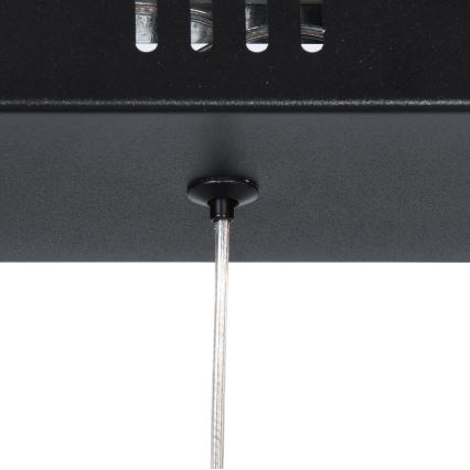 Brilagi - Pakabinamas LED šviestuvas ant laido VERANO 3xLED/15W/230V