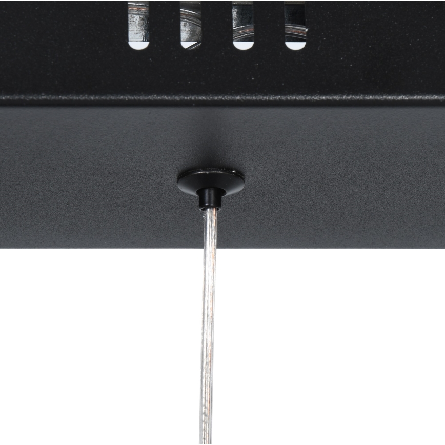 Brilagi - Pakabinamas LED šviestuvas ant laido VERANO 3xLED/15W/230V