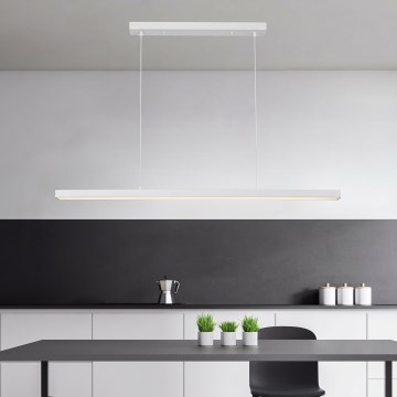 Brilagi - pakabinamas LED šviestuvas ant troselio PPAXIS LED/30W/230V 120 cm baltas