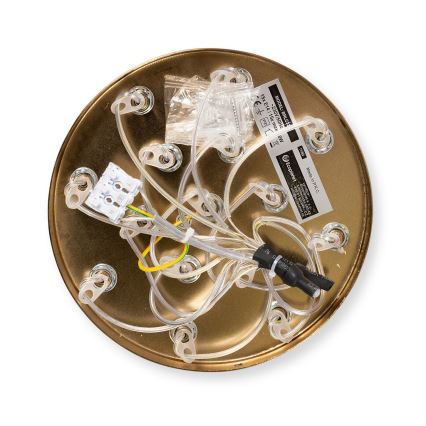 Brilagi - Pakabinamas šviestuvas ant laido GLOBE 15xE14/15W/230V baltas