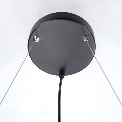 BRILAGI - Pakabinamas šviestuvas ant laido SELE 6xGU10/30W/230V juodas