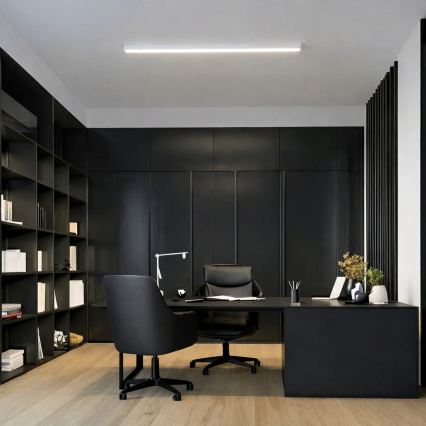 Brilagi - LED paviršinis lubų šviestuvas FULLDAY LED/20/30/40W/230V 2700/4000/6000K 120 cm baltas