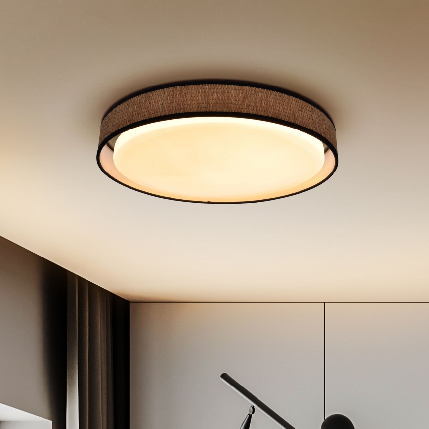 Brilagi - LED reguliuojamas lubų šviestuvas PILAR LED/48W/230V 3000-6500K skersmuo 43 cm + nuotolinio valdymo pultas