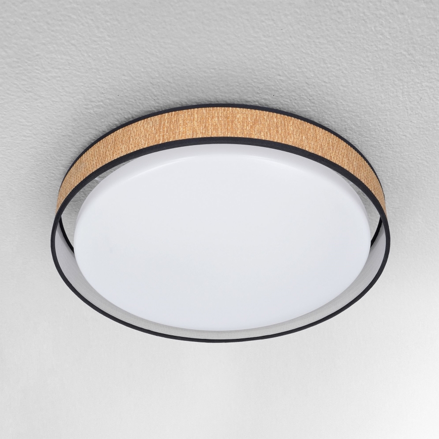 Brilagi - LED reguliuojamas lubų šviestuvas PILAR LED/48W/230V 3000-6500K skersmuo 43 cm + nuotolinio valdymo pultas
