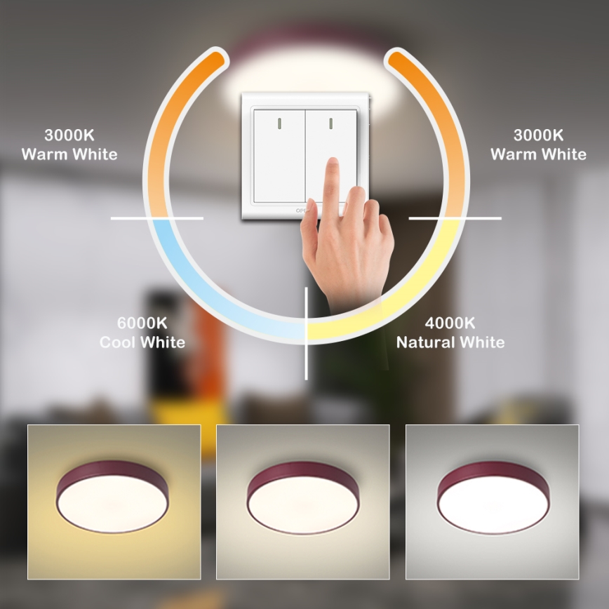 Brilagi - lubinis LED šviestuvas POOL LED/36W/230V 3000/4000/6000K Ø 30 cm bordo