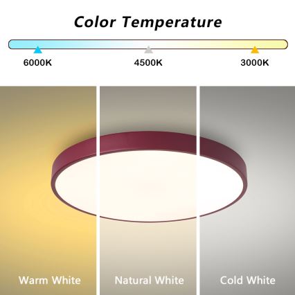 Brilagi - LED lubinis šviestuvas POOL LED/60W/230V 3000/4000/6000K skersmuo 50 cm bordo