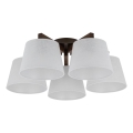Brilagi - Prie lubų montuojamas šviestuvas LATTE 5xE27/60W/230V pušis/balta