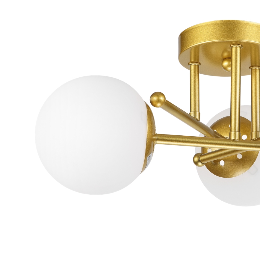 Brilagi - Prigludusi liustra MALIVA 3xE14/15W/230V auksinė/balta