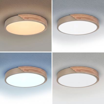BRILAGI - LED Dimeriuojamas lubinis šviestuvas PILANA LED/48W/230V 3000-6500K ąžuolas/smėlinė skers. 40 cm + nuotolinis valdymas