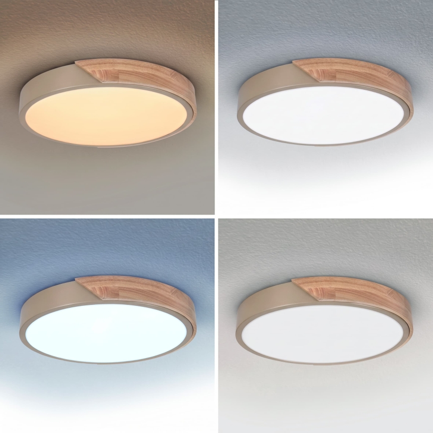 BRILAGI - LED Dimeriuojamas lubinis šviestuvas PILANA LED/48W/230V 3000-6500K ąžuolas/smėlinė skers. 40 cm + nuotolinis valdymas