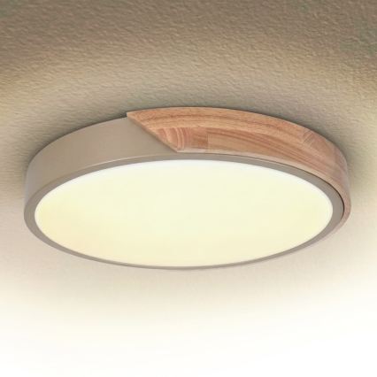 BRILAGI - LED Dimeriuojamas lubinis šviestuvas PILANA LED/48W/230V 3000-6500K ąžuolas/smėlinė skers. 40 cm + nuotolinis valdymas