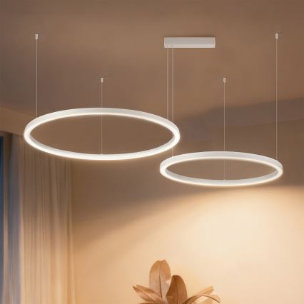 Brilagi - PORTOFINO LED dimeriuojamas pakabinamas šviestuvas ant laido LED/98W/230V 3000-6000K balta + nuotolinis valdymas