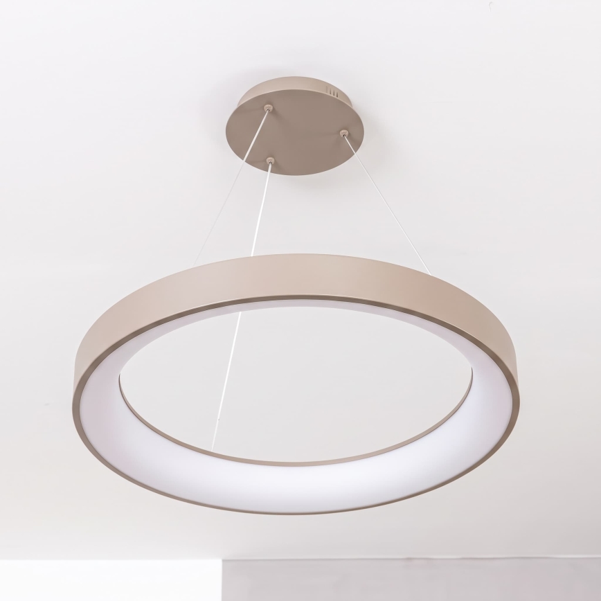 BRILAGI - LED reguliuojamas pakabinamas šviestuvas ant kabelio FALCON II LED/99W/230V 3000-6500K skersmuo 60 cm smėlio spalvos + nuotolinis valdymas