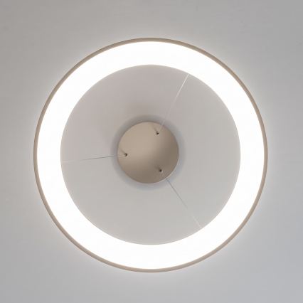 BRILAGI - LED reguliuojamas pakabinamas šviestuvas ant kabelio FALCON II LED/99W/230V 3000-6500K skersmuo 60 cm smėlio spalvos + nuotolinis valdymas