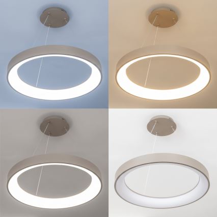 BRILAGI - LED reguliuojamas pakabinamas šviestuvas ant kabelio FALCON II LED/99W/230V 3000-6500K skersmuo 60 cm smėlio spalvos + nuotolinis valdymas