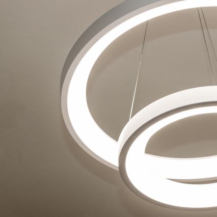 Brilagi - reguliuojamas LED pakabinamas šviestuvas ant troselio FALCON SLIM LED/68W/230V 3000–6500K Ø 50 cm balta + su nuotoliniu valdymu