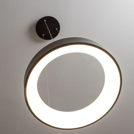 Brilagi - LED reguliuojamas pakabinamas šviestuvas ant laido FALCON LED/40W/230V 3000-6500K skers. 45 cm juodas + nuotolinis valdymas