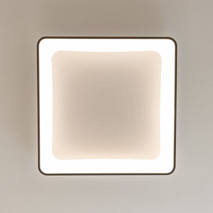 Brilagi - Reguliuojamas LED lubinis šviestuvas FALCON II LED/125W/230V 3000-6500K 60x60 cm juodas + nuotolinis valdymas