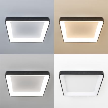 Brilagi - Reguliuojamas LED lubinis šviestuvas FALCON II LED/125W/230V 3000-6500K 60x60 cm juodas + nuotolinis valdymas