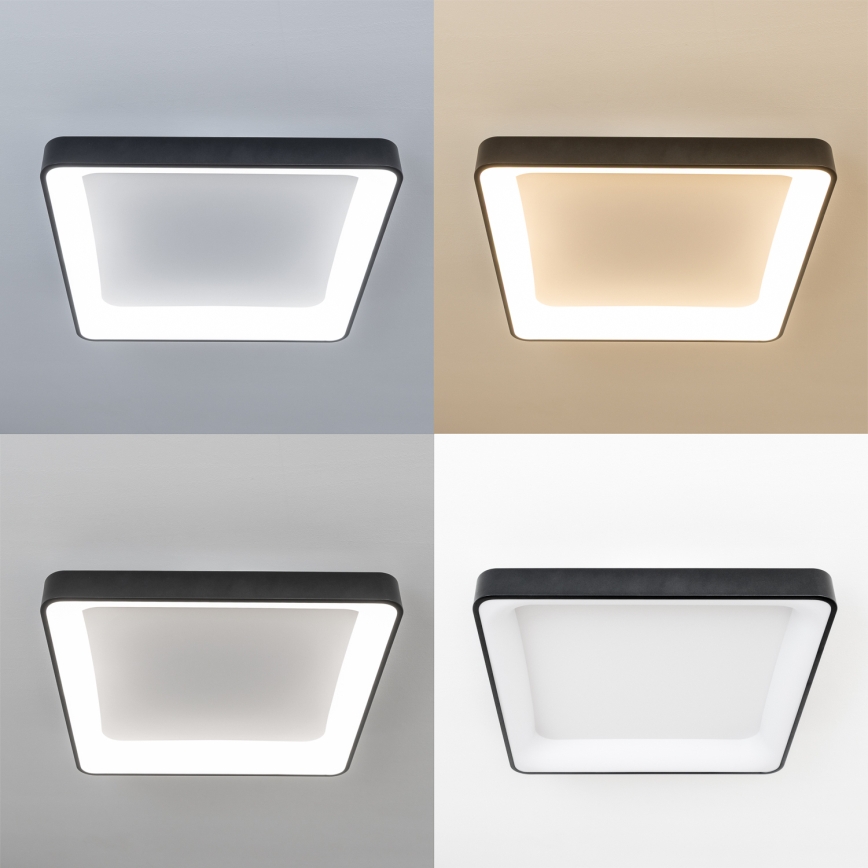 Brilagi - Reguliuojamas LED lubinis šviestuvas FALCON II LED/125W/230V 3000-6500K 60x60 cm juodas + nuotolinis valdymas