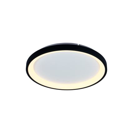Brilagi - LED Dimeriuojamas lubinis šviestuvas FALCON SLIM LED/42W/230V 3000-6500K skersmuo 50 cm juodas + nuotolinis valdymas