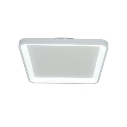 Brilagi - LED dimeriuojamas lubų šviestuvas FALCON SLIM LED/50W/230V 3000-6500K 50x50 cm balta + su nuotoliniu valdymu
