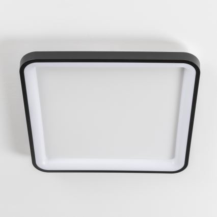 Brilagi - LED reguliuojamas lubų šviestuvas FALCON SLIM LED/50W/230V 3000-6500K 50x50 cm juoda + su nuotoliniu pulteliu