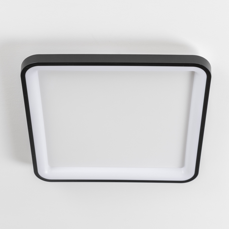 Brilagi - LED reguliuojamas lubų šviestuvas FALCON SLIM LED/50W/230V 3000-6500K 50x50 cm juoda + su nuotoliniu pulteliu