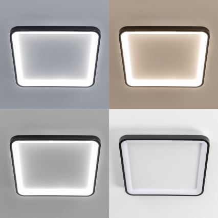 Brilagi - LED reguliuojamas lubų šviestuvas FALCON SLIM LED/50W/230V 3000-6500K 50x50 cm juoda + su nuotoliniu pulteliu