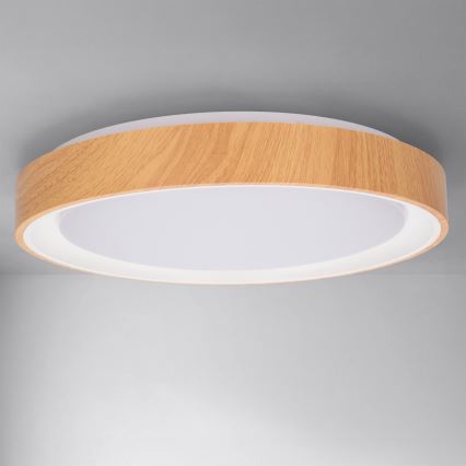 Brilagi - Dimeriuojamas LED lubų šviestuvas FLOCO LED/48W/230V, skersmuo 40 cm, medžio dekoras/balta + nuotolinis valdymas