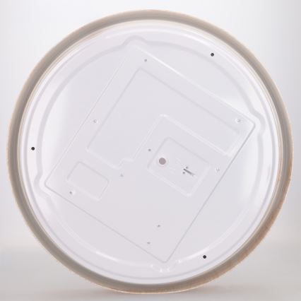 Brilagi - Dimeriuojamas LED lubų šviestuvas FLOCO LED/48W/230V, skersmuo 40 cm, medžio dekoras/balta + nuotolinis valdymas