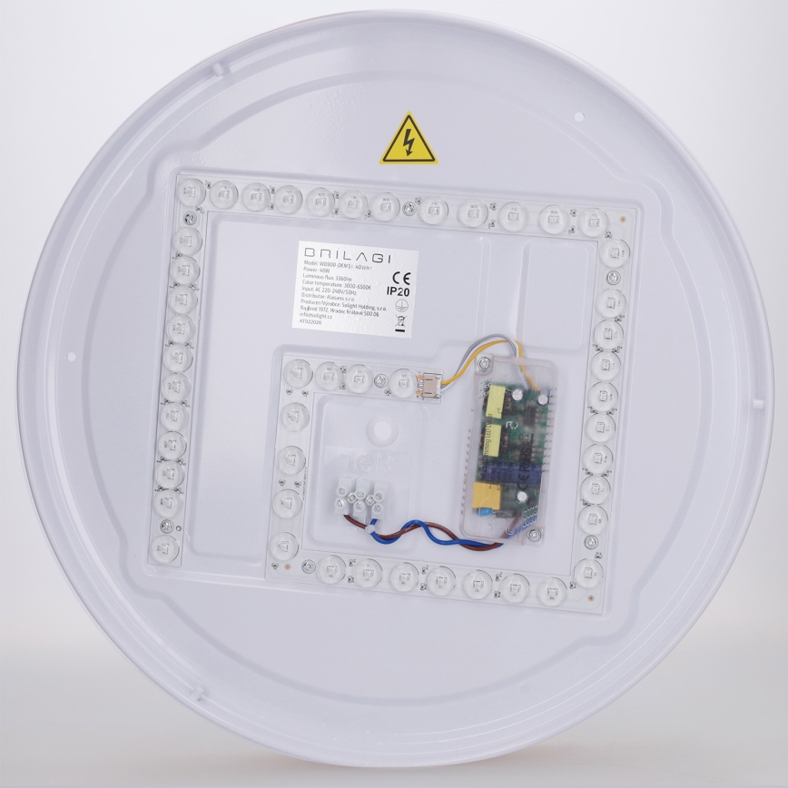 Brilagi - Dimeriuojamas LED lubų šviestuvas FLOCO LED/48W/230V, skersmuo 40 cm, medžio dekoras/balta + nuotolinis valdymas