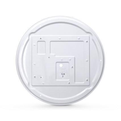 Brilagi - dimeriuojamas LED lubinis šviestuvas GLORIA LED/48W/230V 3000-6500K ąžuolas skersmuo 40 cm + nuotolinis valdymas