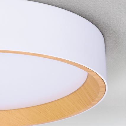 Brilagi - reguliuojamas LED lubų šviestuvas LARIOS LED/72W/230V baltas, skersmuo 59 cm + nuotolinis valdiklis