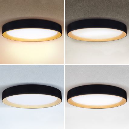 Brilagi - reguliuojamas LED lubų šviestuvas LARIOS LED/72W/230V 3000-6500K, juodas, skersm. 59 cm + su nuotoliniu pulteliu