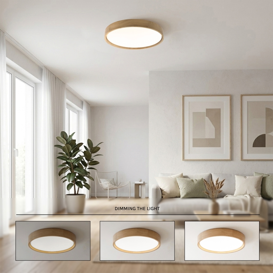 Brilagi - reguliuojamas LED lubinis šviestuvas MANAROLA REMOTE LED/36W/230V 3000-6500K, skersmuo 51 cm, ąžuolo spalvos + nuotolinis valdymas
