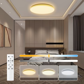 Brilagi - reguliuojamas LED lubinis šviestuvas MILKY WAY LED/36W/230V 3000-6500K skersmuo 48 cm + nuotolinis valdymas