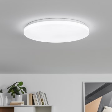 Brilagi – reguliuojamas LED lubinis šviestuvas PINE, 24 W, 230 V, Ø 42 cm, 3000–6500 K, su nuotoliniu pultu
