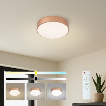 BRILAGI - reguliuojamas LED lubinis šviestuvas POOL LED/24W/230V 3000-6000K skersmuo 20 cm bronzinis + nuotolinis valdymas