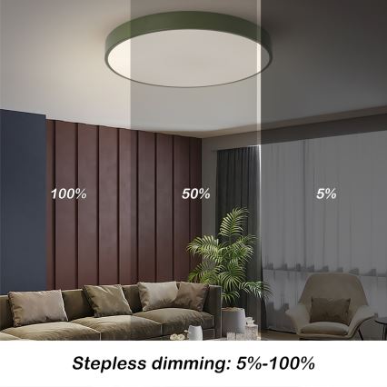 Brilagi - LED Dimeriuojamas lubinis šviestuvas POOL LED/60W/230V 3000-6000K skersmuo 60 cm žalias + su nuotoliniu valdymu