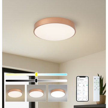 BRILAGI - reguliuojamas LED lubinis šviestuvas POOL SMART LED/48W/230V 3000-6000K skersm. 40 cm Wi-Fi Tuya bronzinė + su nuotoliniu pultu
