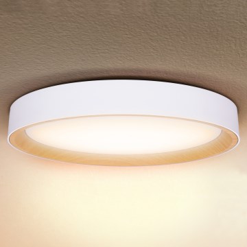 Brilagi - reguliuojamas LED lubų šviestuvas LARIOS LED/72W/230V baltas, skersmuo 59 cm + nuotolinis valdiklis
