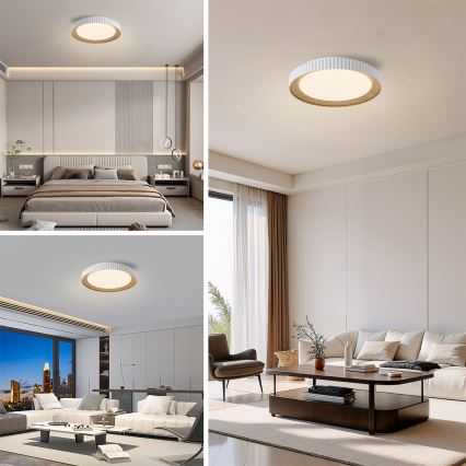 Brilagi - NEXO dimeriuojamas LED lubų šviestuvas LED/48W/230V 3000-6000K balta, skersmuo 43 cm + nuotolinis valdymas
