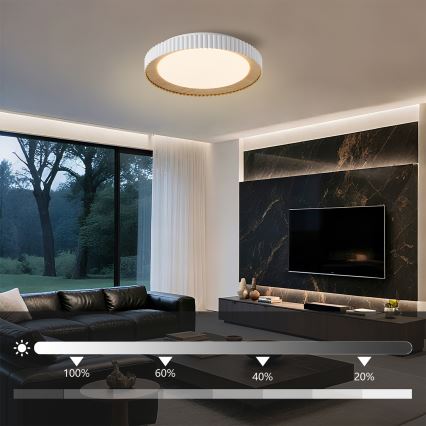 Brilagi - NEXO dimeriuojamas LED lubų šviestuvas LED/48W/230V 3000-6000K balta, skersmuo 43 cm + nuotolinis valdymas