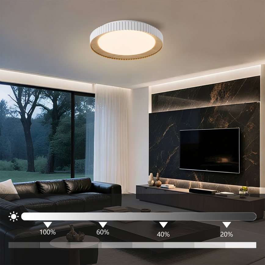 Brilagi - NEXO dimeriuojamas LED lubų šviestuvas LED/48W/230V 3000-6000K balta, skersmuo 43 cm + nuotolinis valdymas
