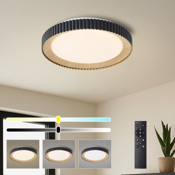 Brilagi - reguliuojamas LED lubų šviestuvas NEXO LED/48W/230V 3000-6000K juodas skersmuo 43 cm + nuotolinis valdymas