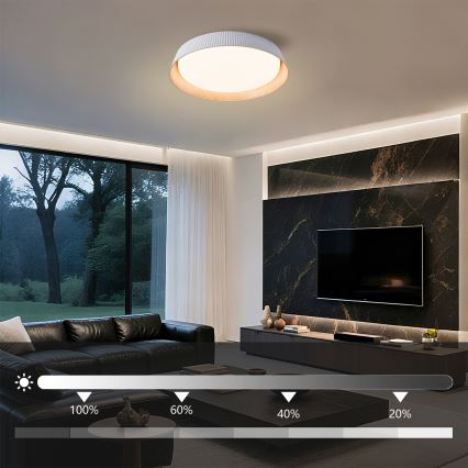 Brilagi - Dimeriuojamas ORINO LED lubų šviestuvas LED/54W/230V 3000-6000K, baltas, Ø 43 cm + nuotolinis pultas